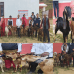 अपाङ्गता तथा विपन्न व्यक्तिहरूलाई बाख्रा वितरण।