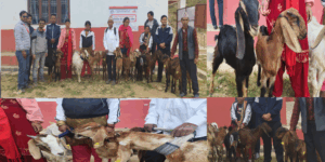 अपाङ्गता तथा विपन्न व्यक्तिहरूलाई बाख्रा वितरण।