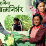 आईएनएफको सहयोगमा आत्मनिर्भर बनेकी शारदा