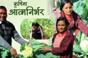 आईएनएफको सहयोगमा आत्मनिर्भर बनेकी शारदा