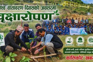 विश्व वातावरण दिवसको अवसरमा नरहरिनाथमा वृक्षारोपण कार्यक्रम सम्पन्न