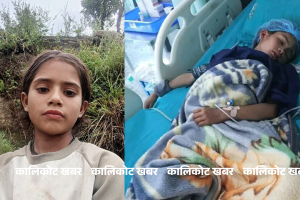 भिरबाट लडेर घाइते बालिकाको उपचारका लागि सहयोग अपिल