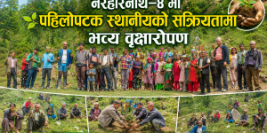 नरहरिनाथ–४ मा पहिलोपटक स्थानीयको सक्रियतामा भव्य वृक्षारोपण