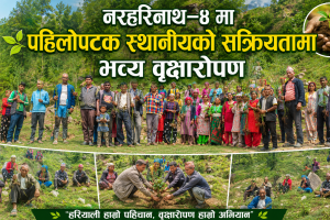 नरहरिनाथ–४ मा पहिलोपटक स्थानीयको सक्रियतामा भव्य वृक्षारोपण